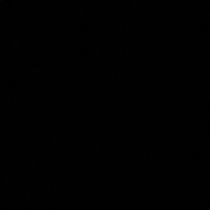 Meet your Posher, Sabrina